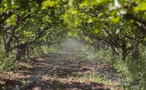 太原運(yùn)用水肥一體化設(shè)施、軟體集雨水窖解決旱情