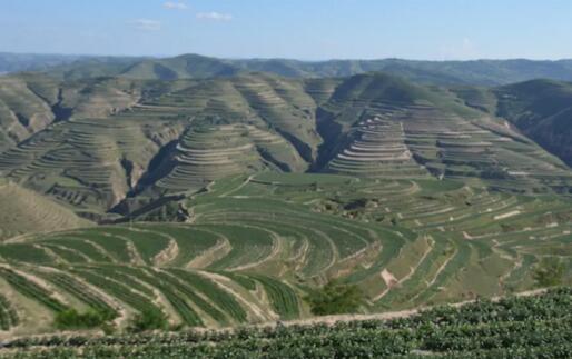 浙江大力發(fā)展種植智能化，應(yīng)用水肥一體化等新技術(shù)