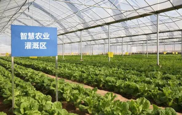 智慧農(nóng)業(yè)灌溉實現(xiàn)農(nóng)業(yè)綜合應(yīng)用的一種新型農(nóng)業(yè)生產(chǎn)模式