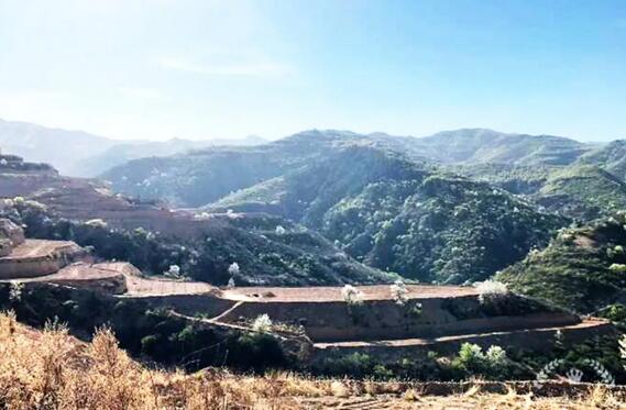 山西實施軟體水窖+水肥一體化，打造生態(tài)智慧果園